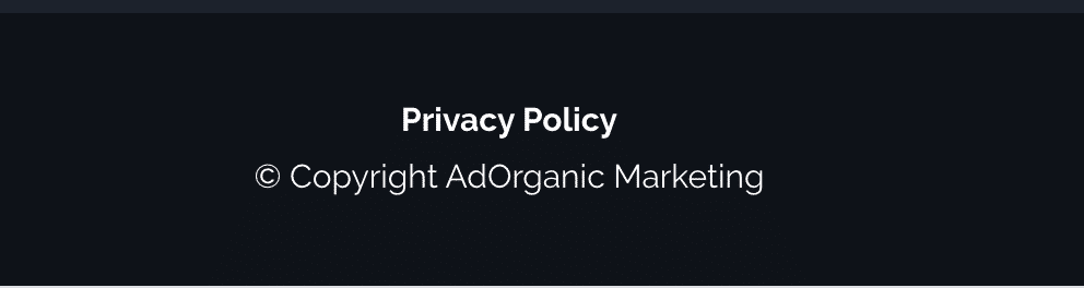 Privacy Policy - AdOrganic Web Development